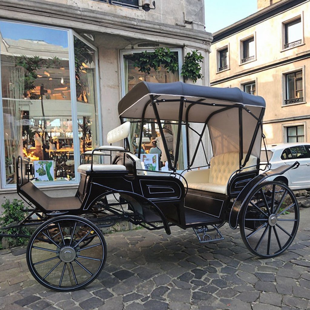 Vis-a-vis horse-drawn wedding carriage, classic Victoria style