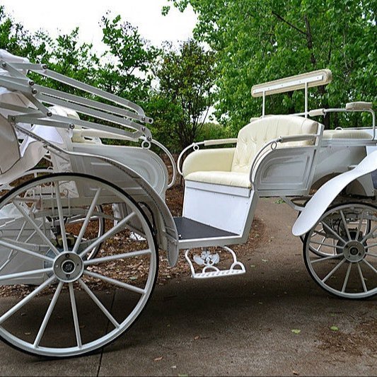 White vis-a-vis carriage with facing cream passenger seats and spoked wheels